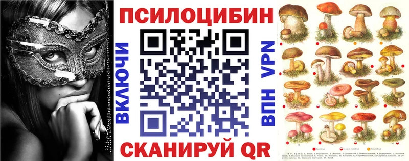 Купить закладки Клин Галлюциногенные грибы Psilocybe